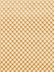 Scalamandre Fabric Pomfret | Silk Coffee On Beige SC266920004