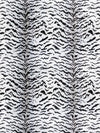 Scalamandre Fabric Tigre Off-White & Black SC26167MMA0006