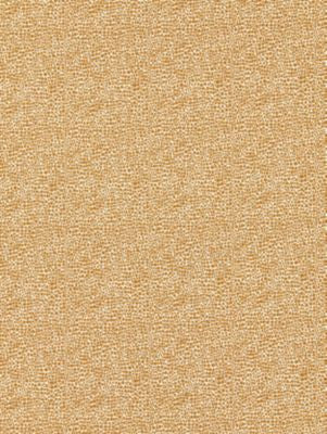Shagreen Beige SC26914M0006 by Scalamandre Designer Fabric ORIANA 45% COTTON 40% POLYESTER 15% VISCOSE FRANCE MEDIUM DUTY Horizontal: and Vertical: 55 - Swanky Fabrics -