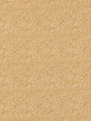 Scalamandre Fabric Shagreen Beige SC26914M0006