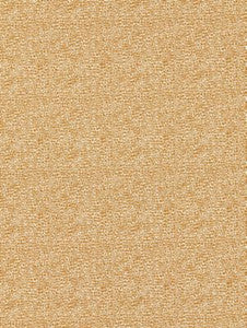 Scalamandre Fabric Shagreen Beige SC26914M0006
