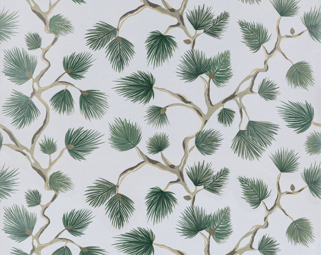 Pignoli Wallcovering Evergreen SCWP88593D0006 by Scalamandre Designer Wallpaper
