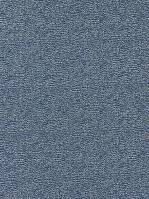 Shagreen Blue SC26914M0007 by Scalamandre Designer Fabric ORIANA 45% COTTON 40% POLYESTER 15% VISCOSE FRANCE MEDIUM DUTY Horizontal: and Vertical: 55 - Swanky Fabrics -