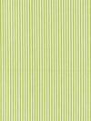 Scalamandre Fabric Kent Stripe Pear SC363950012