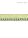 Scalamandre Trim Boulevard Cord Spring SCC3140015