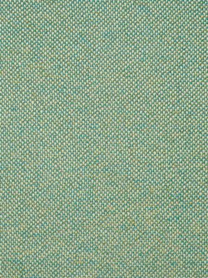 City Tweed Palm Leaf SC272490020 by Scalamandre Designer Fabric TRIO - PERFORMANCE 66% ACRYLIC 34% POLYESTER GERMANY HEAVY DUTY Horizontal: 0" and Vertical: 0" 58 - Swanky Fabrics -
