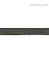 Scalamandre Trim Avenue Cord Coal SCC3150022