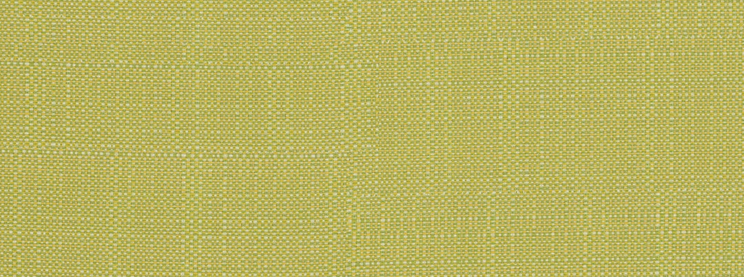 Sd-Clearwater 244M Acid Green by Covington Designer Fabric