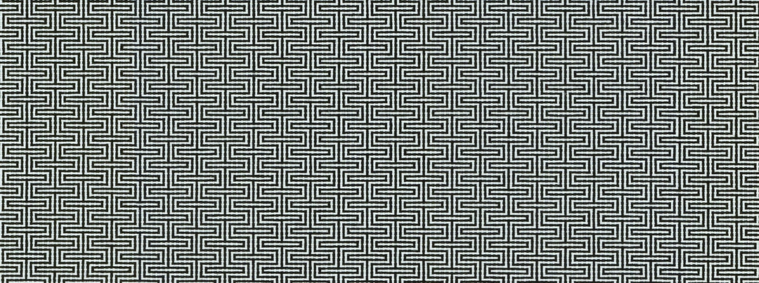 Sd-Detour 916 Ebony/Ivory by Covington Designer Fabric