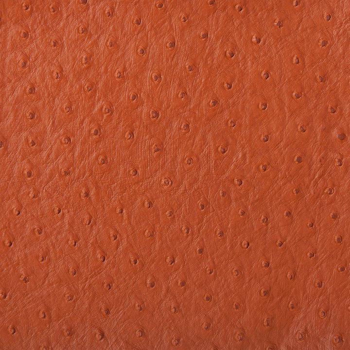Senna-124 by Kravet Design Designer Fabric POLY VINYL CHLORIDE - 75%;POLYESTER - 16%;COTTON - 9% Korea, Republic of HEAVY Horizontal: 0 and Vertical: 0 54 - Swanky Fabrics -