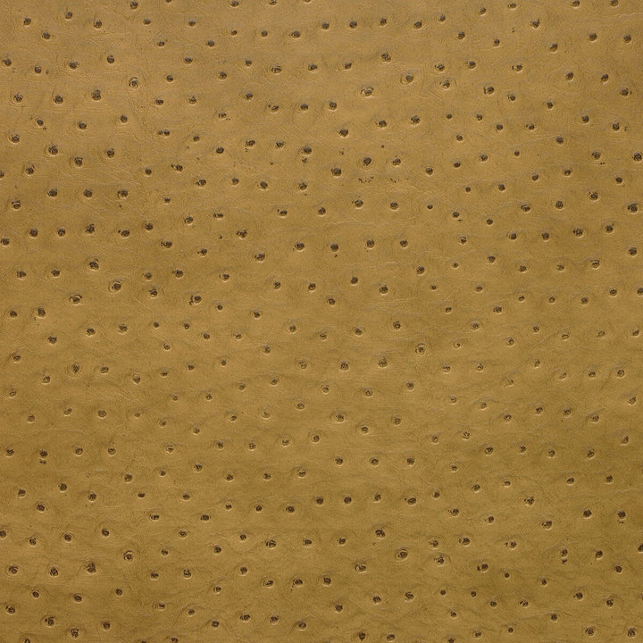 Kravet Design Senna-4 by Kravet Design Fabric Kravet Design Fabric Kravet Design Senna-4Fabric POLY VINYL CHLORIDE - 75%;POLYESTER - 16%;COTTON - 9% Korea, Republic of </p><p>Repeat: H: 0, V: 0 54 - Fabric Carolina -