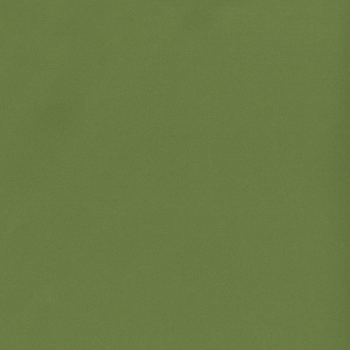Banks 21 Fern by SolarShade Designer Fabric 100% Solution Dyed Polyester CN 150,000 Double Rubs (Wyzenbeek) </p><p>Repeat: Horizontal: and Vertical: 54 in. (137 cm) - Swanky Fabrics -