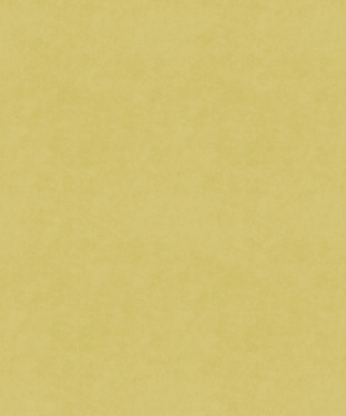 Serenity 11205 by Barrow Industries Designer Fabric