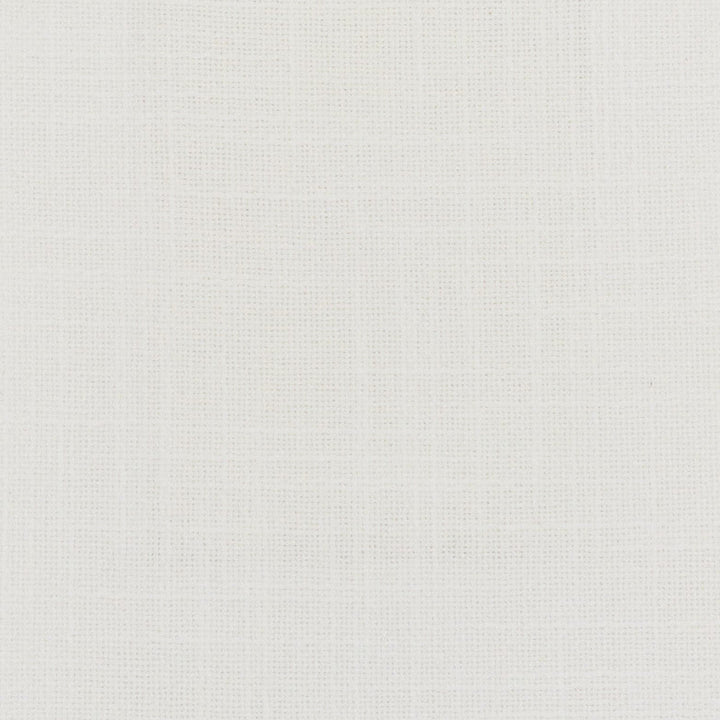 Shaggy 11 Ivory by Stout Designer Fabric TEMPTATION II DRAPERY TEXTURES 79%COT 21%POL INDIA WYZENBEEK 12 000 DOUBLE RUB WEAR TEST (MEDIUM DUTY) FLAME RETARDANT-CA BULLETIN 117-SECTION E FLAME RETARDANT-U.F.A.C. CLASS 1 FLAME RETARDANT-N.F.P.A. 260A CLASS 1 Horizontal: 0.000 and Vertical: 0.000 55 in - Swanky Fabrics -
