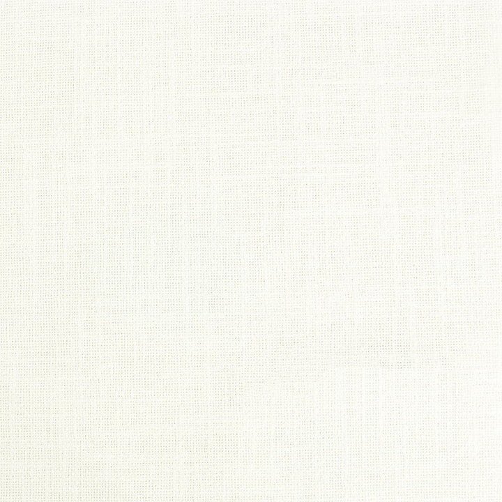 Shaggy 11 Ivory by Stout Fabric Stout Fabric Shaggy 11 IvoryFabric ARTISAN WEAVES 79%COT 21%POL INDIA </p><p>Repeat: H: 0.000, V: 0.000 55 in - Fabric Carolina -