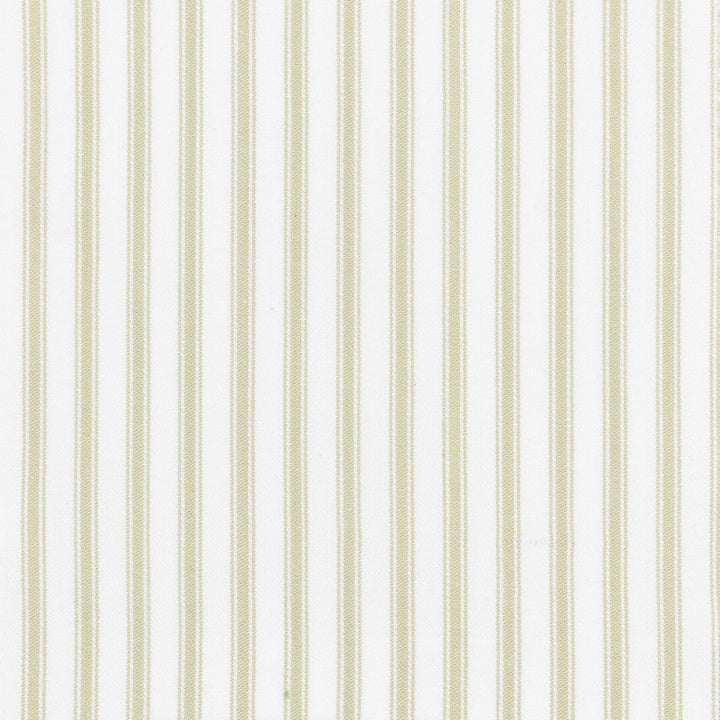 Shiloh 1 Aloe by Stout Fabric Stout Fabric Shiloh 1 AloeFabric RAINBOW LIBRARY PEAR/JUNGLE CHINA </p><p>Repeat: H: 0.500, V: 0.000 56 in - Fabric Carolina -