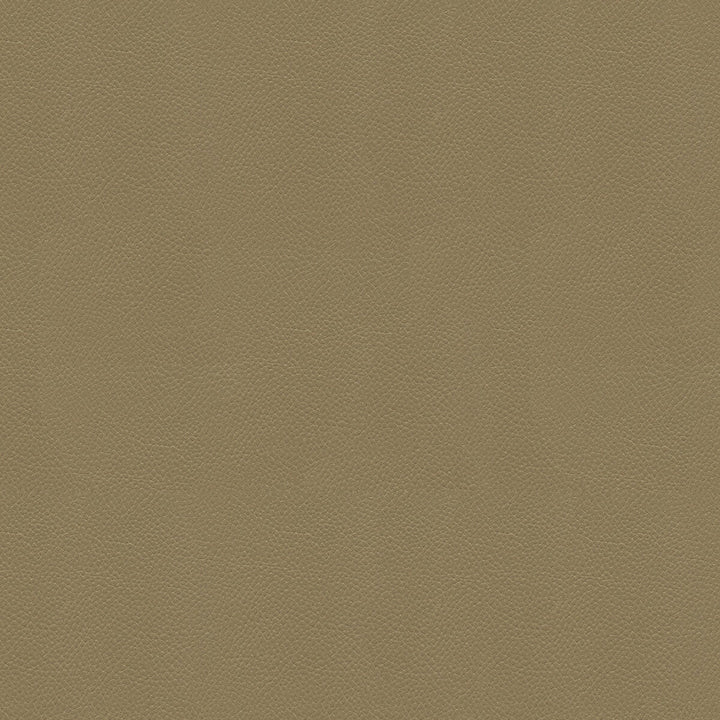 Side Kick Taupe by Kravet Couture Designer Fabric - NYLON - 100% United States HEAVY Horizontal: - and Vertical: - 54 - Swanky Fabrics -