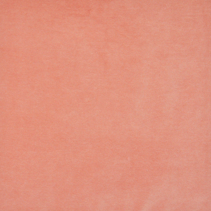 Snug # 401 Coral by Maxwell Designer Fabric Performance Velvets-Vol.I 67.2% POLYESTER 32.8% COTTON TURKEY 55" - Swanky Fabrics -