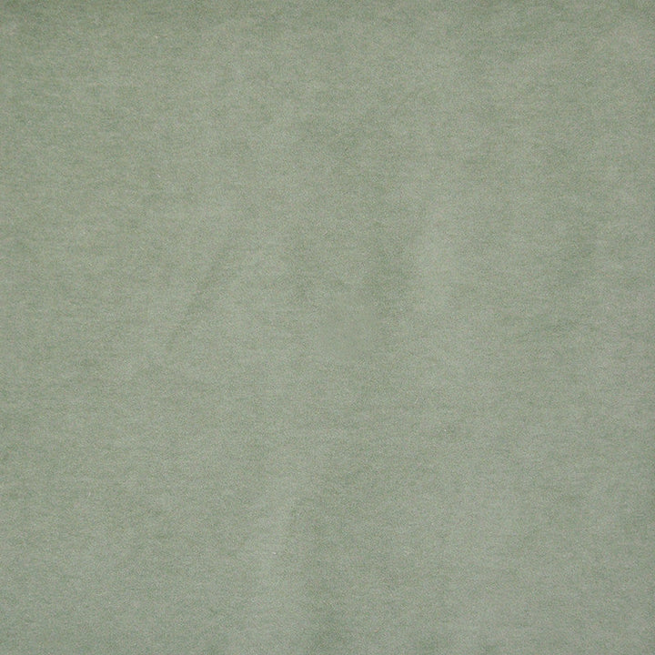 # 405 Lichen by Maxwell Designer Fabric Performance Velvets-Vol.I 67.2% POLYESTER 32.8% COTTON TURKEY 55" - Swanky Fabrics -