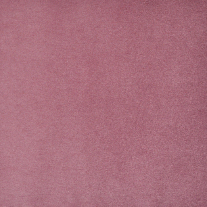 Snug # 415 Flower by Maxwell Designer Fabric Performance Velvets-Vol.I 67.2% POLYESTER 32.8% COTTON TURKEY 55" - Swanky Fabrics -