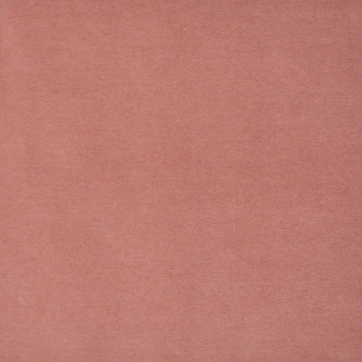 Snug # 418 Grapefruit by Maxwell Designer Fabric Performance Velvets-Vol.I 67.2% POLYESTER 32.8% COTTON TURKEY 55" - Swanky Fabrics -