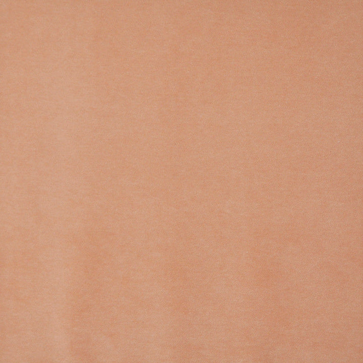 Snug # 419 Soft Orange by Maxwell Designer Fabric Performance Velvets-Vol.I 67.2% POLYESTER 32.8% COTTON TURKEY 55" - Swanky Fabrics -