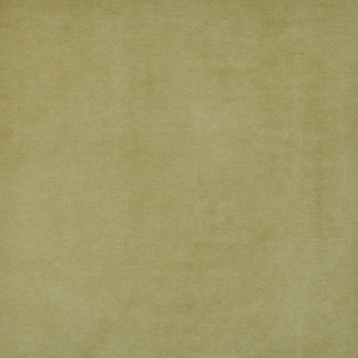 Snug # 421 Olive by Maxwell Designer Fabric Performance Velvets-Vol.I 67.2% POLYESTER 32.8% COTTON TURKEY 55" - Swanky Fabrics -