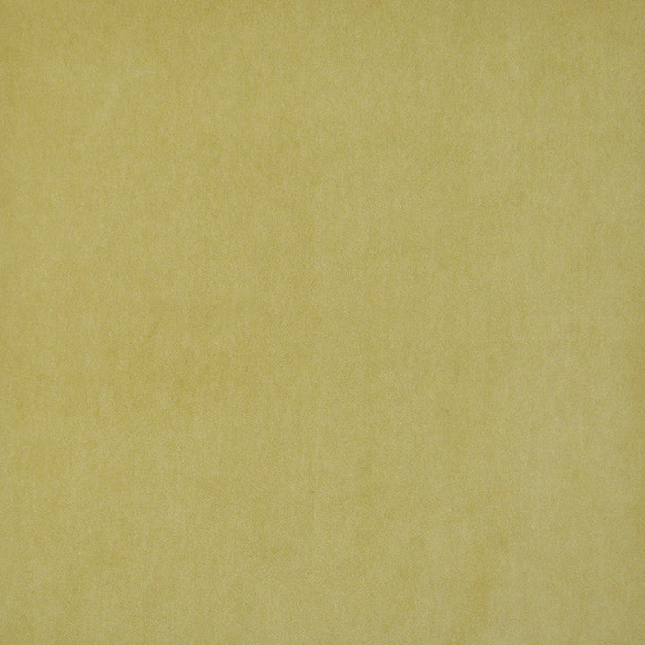 Snug # 424 Citron by Maxwell Designer Fabric Performance Velvets-Vol.I 67.2% POLYESTER 32.8% COTTON TURKEY 55" - Swanky Fabrics -