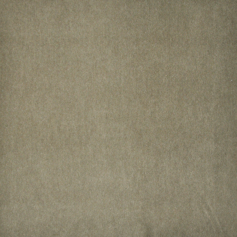 Snug # 429 Bark by Maxwell Designer Fabric Performance Velvets-Vol.I 67.2% POLYESTER 32.8% COTTON TURKEY 55" - Swanky Fabrics -