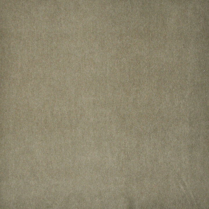 Snug # 429 Bark by Maxwell Designer Fabric Performance Velvets-Vol.I 67.2% POLYESTER 32.8% COTTON TURKEY 55" - Swanky Fabrics -