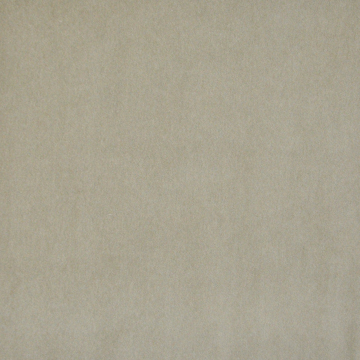 Snug # 430 Chamois by Maxwell Designer Fabric Performance Velvets-Vol.I 67.2% POLYESTER 32.8% COTTON TURKEY 55" - Swanky Fabrics -