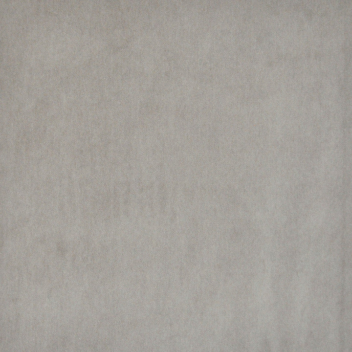 Snug # 433 Rabbit by Maxwell Designer Fabric Performance Velvets-Vol.I 67.2% POLYESTER 32.8% COTTON TURKEY 55" - Swanky Fabrics -