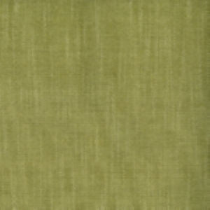 Norbar Fabric Silas Fern