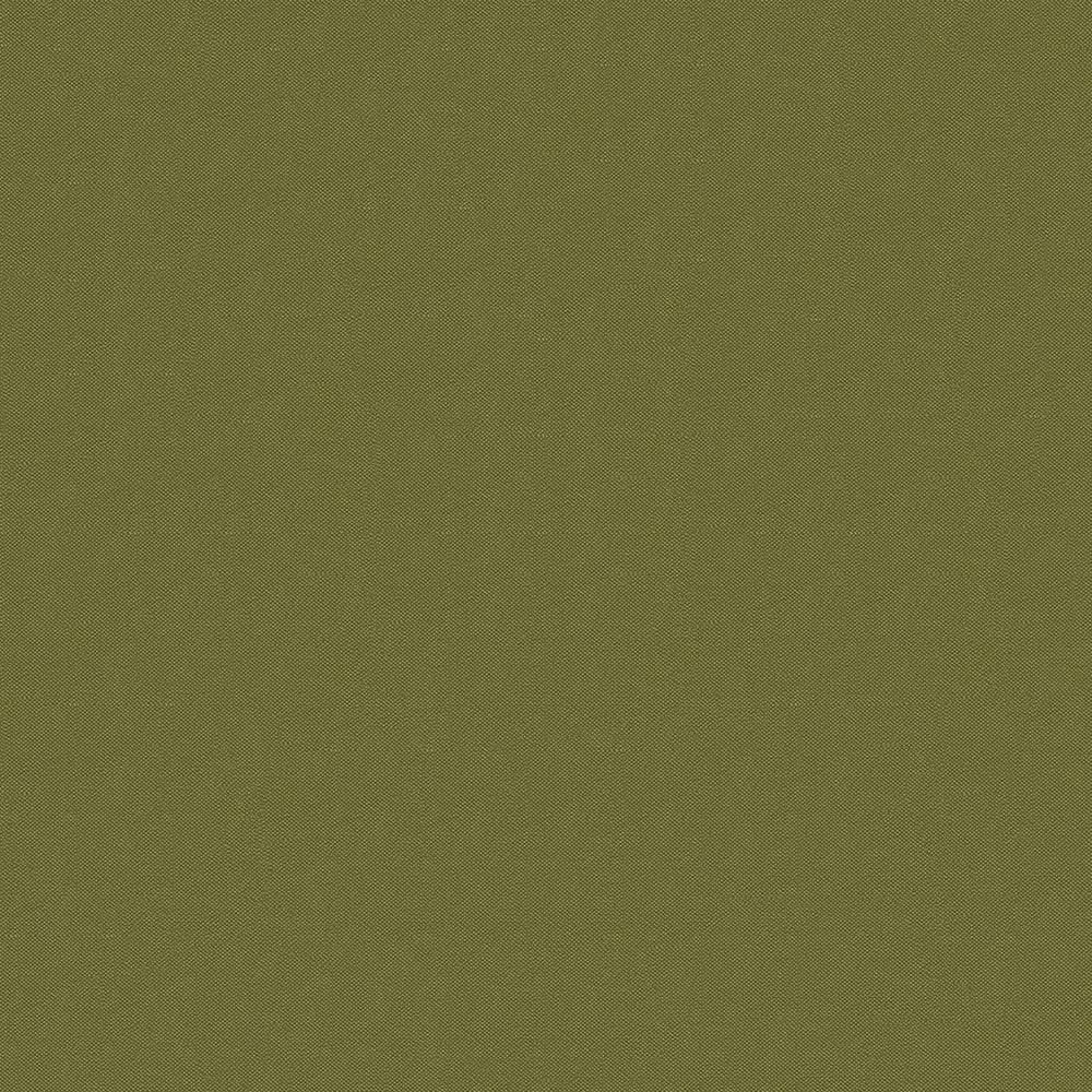 Silvertex 8820 Basil by Spradling Designer Fabric 100% Polyvinyl Chloride (PVC) Columbia 100,000 Double Rubs (Wyzenbeek) </p><p>Repeat: Horizontal: and Vertical: 54" (137 cm) - Swanky Fabrics -