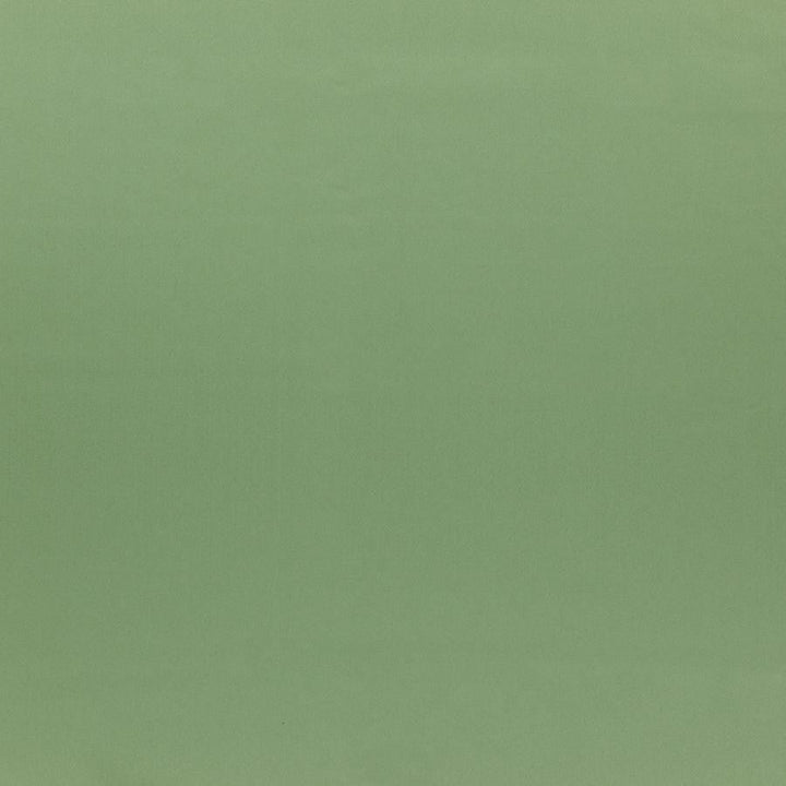 Silky Smooth # 64 Sage by Maxwell Designer Fabric Pure & Simple Vi 100% POLYESTER TURKEY 57.5" - Swanky Fabrics -