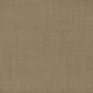 Simmons Lion by Norbar Designer Fabric 36% COTTON 30% POLYESTER INDIA 54 - Swanky Fabrics -
