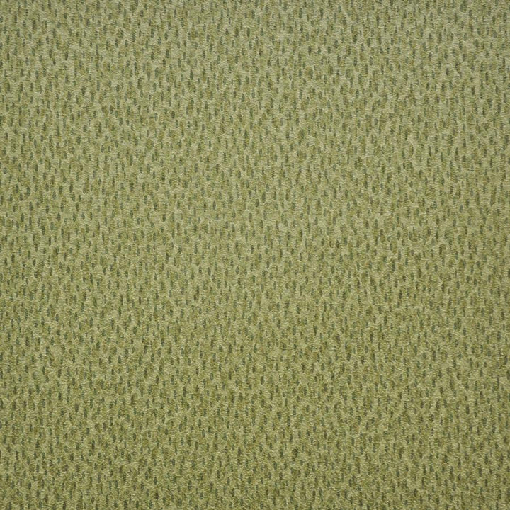 Spotlight # 212 Grasslands by Maxwell Designer Fabric Easy Rider V 100% PVC TAIWAN 54" - Swanky Fabrics -