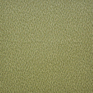 Maxwell Fabric Spotlight # 212 Grasslands