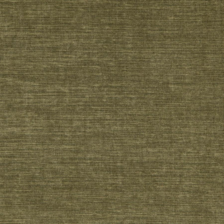 Shavasana # 23 Cactus by Maxwell Designer Fabric Curled Up V 100% POLYESTER INDIA 54.3" - Swanky Fabrics -
