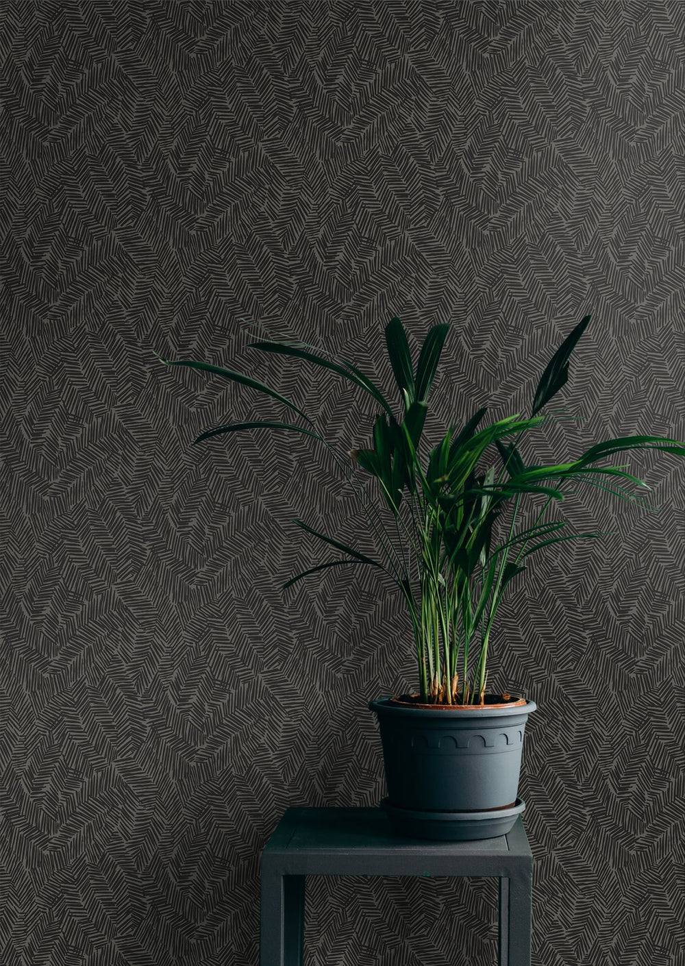 Lush Black Sapphire SL80410 by Seabrook Designs Designer Wallpaper
