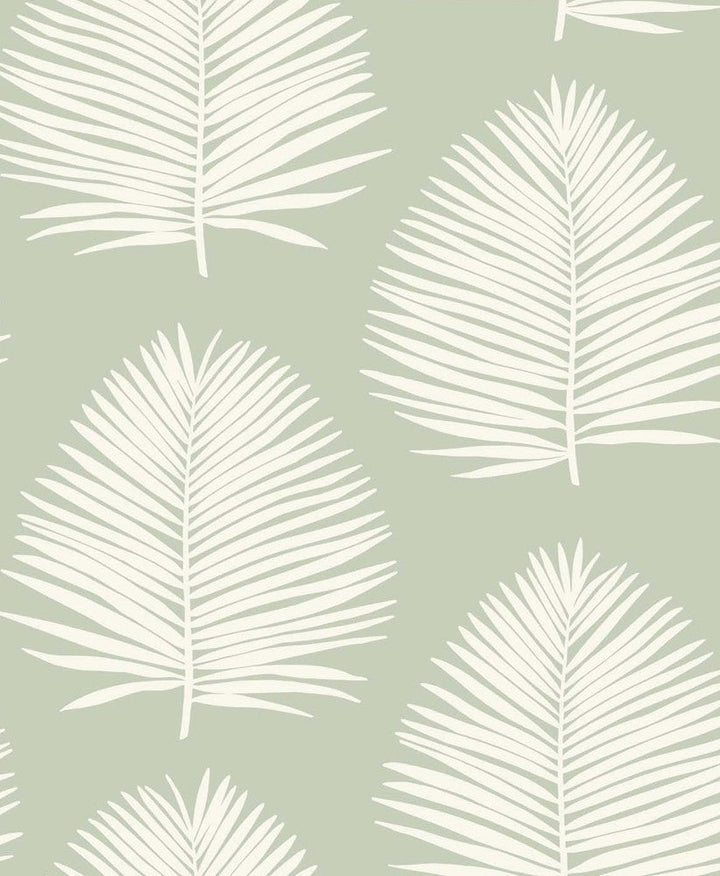 Island Palm Celadon SL80704 by Seabrook Designs Designer Wallpaper
