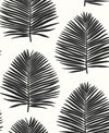 Seabrook Designs Wallpaper Island Palm Day And Night SL80720