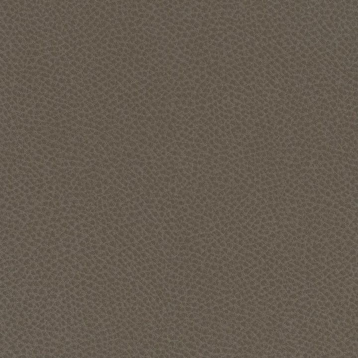 Scene # 711 Barley by Maxwell Designer Fabric Easy Rider Vii FACE: 95% POLYURETHANE/ 5% SILICONE
BACKING:100% POLYESTER TAIWAN 54" - Swanky Fabrics -