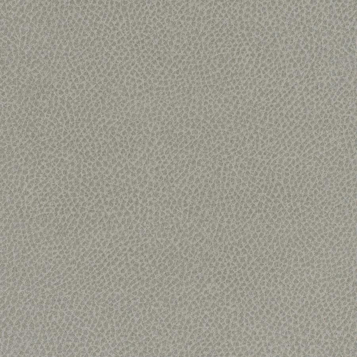 Scene # 713 Mist by Maxwell Designer Fabric Easy Rider Vii FACE: 95% POLYURETHANE/ 5% SILICONE
BACKING:100% POLYESTER TAIWAN 54" - Swanky Fabrics -