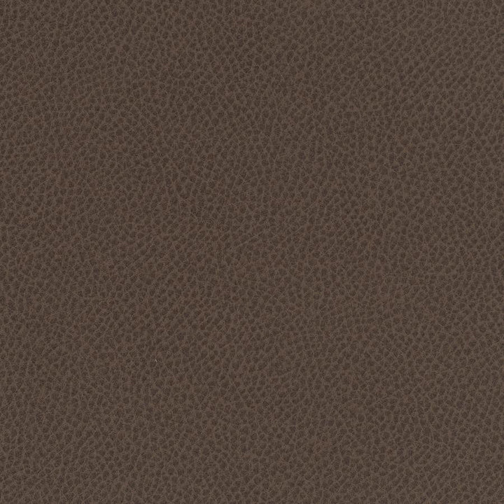 Scene # 720 Tea by Maxwell Designer Fabric Easy Rider Vii FACE: 95% POLYURETHANE/ 5% SILICONE
BACKING:100% POLYESTER TAIWAN 54" - Swanky Fabrics -