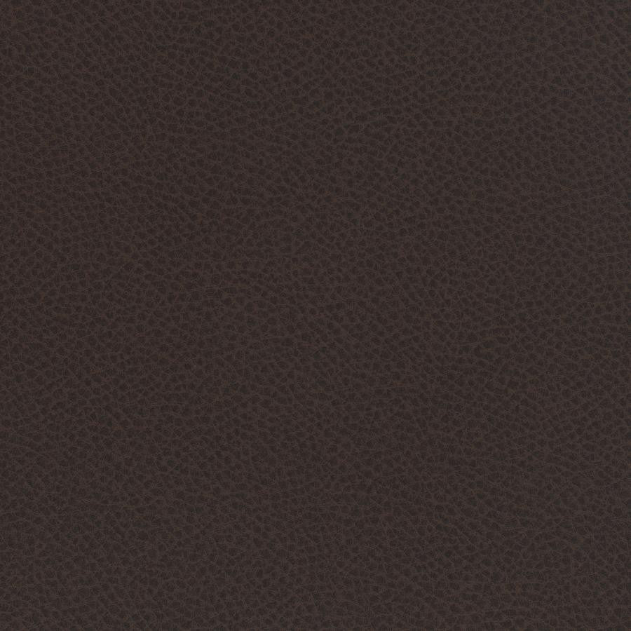 Scene # 723 Cocoa by Maxwell Designer Fabric Easy Rider Vii FACE: 95% POLYURETHANE/ 5% SILICONE
BACKING:100% POLYESTER TAIWAN 54" - Swanky Fabrics -