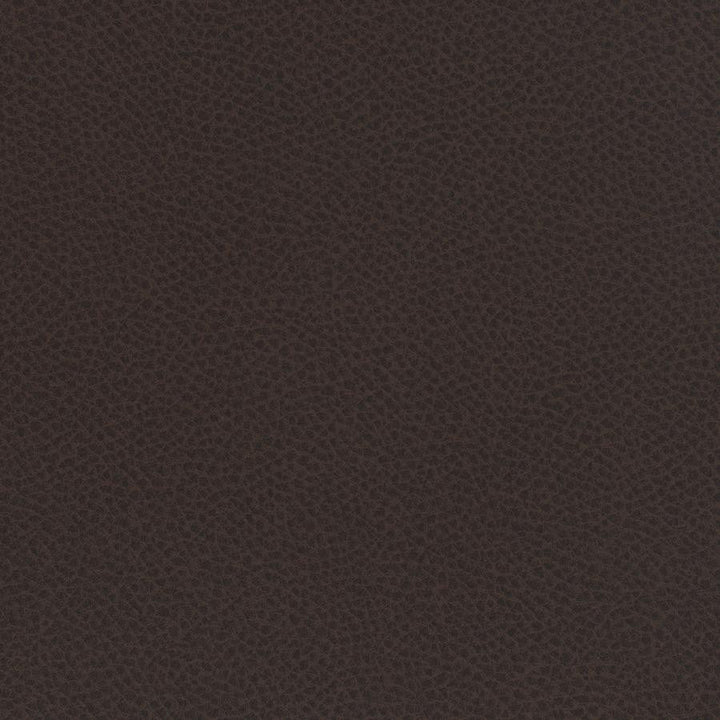 Scene # 723 Cocoa by Maxwell Designer Fabric Easy Rider Vii FACE: 95% POLYURETHANE/ 5% SILICONE
BACKING:100% POLYESTER TAIWAN 54" - Swanky Fabrics -