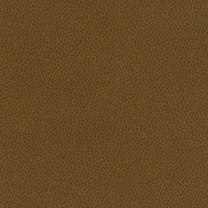 Scene # 730 Cumin by Maxwell Designer Fabric Easy Rider Vii FACE: 95% POLYURETHANE/ 5% SILICONE
BACKING:100% POLYESTER TAIWAN 54" - Swanky Fabrics -