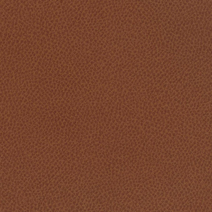 Scene # 733 Curry by Maxwell Designer Fabric Easy Rider Vii FACE: 95% POLYURETHANE/ 5% SILICONE
BACKING:100% POLYESTER TAIWAN 54" - Swanky Fabrics -