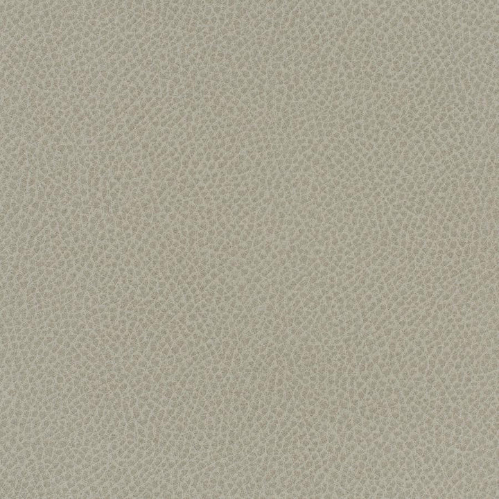 Scene # 737 Crater by Maxwell Designer Fabric Easy Rider Vii FACE: 95% POLYURETHANE/ 5% SILICONE
BACKING:100% POLYESTER TAIWAN 54" - Swanky Fabrics -